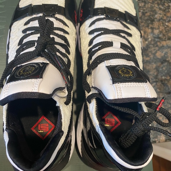 Nike Lebron xvi sb black n white shoes